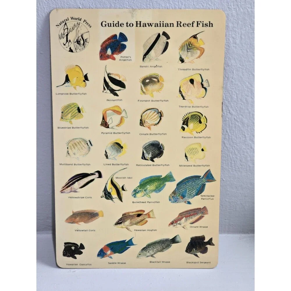 Vtg 1983 Guide to Hawaiian Reef Fish Plastic Card Natural World Press Ephemera
